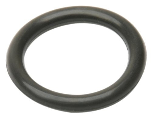 Volkswagen O-Ring Seal